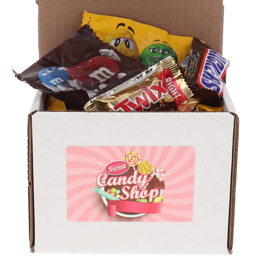 Mars Wrigley Fun Size Chocolate Mix (Peanut M&M, Chocolate M&M, Snickers, and Twix) Individually Wrapped Bulk