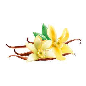 Vanilla