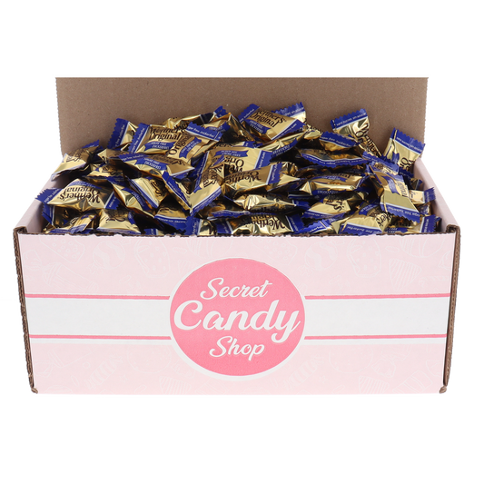 Werther's Original Sugar Free Hard Candy - Classic Caramel