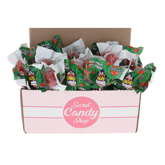 Lucas Lenwas Watermelon Lollipops (Individually Wrapped)