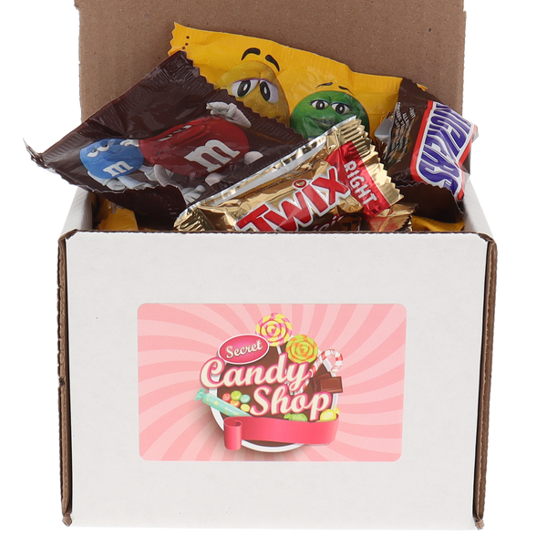 Mars Wrigley Fun Size Chocolate Mix (Peanut M&M, Chocolate M&M, Snickers, and Twix) Individually Wrapped Bulk