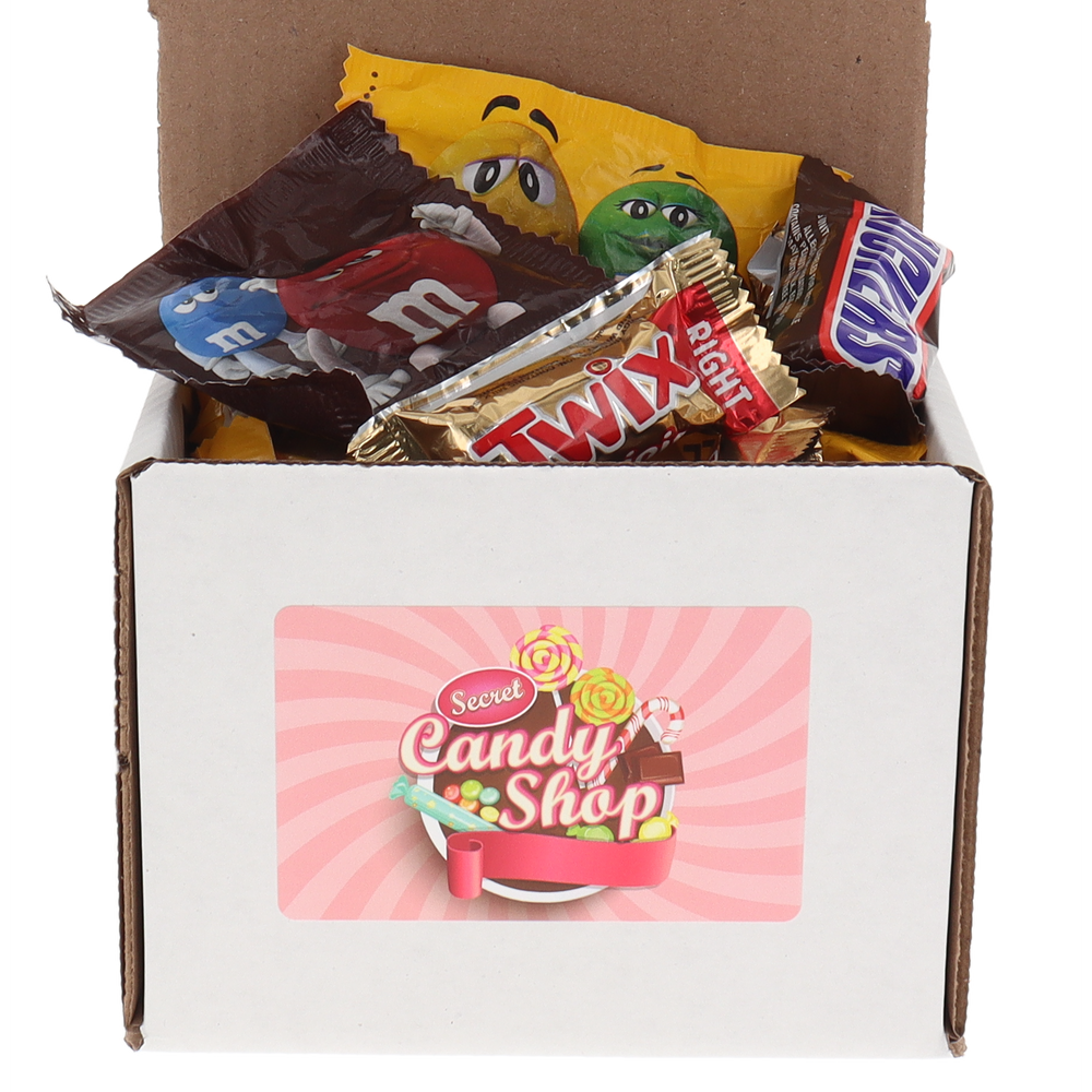 Mars Wrigley Fun Size Chocolate Mix (Peanut M&M, Chocolate M&M, Snickers, and Twix) Individually Wrapped Bulk