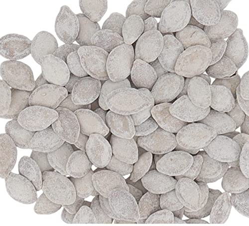 Indian Salted Pumpkin Seeds 5/16oz Bag (Pack of 9)
